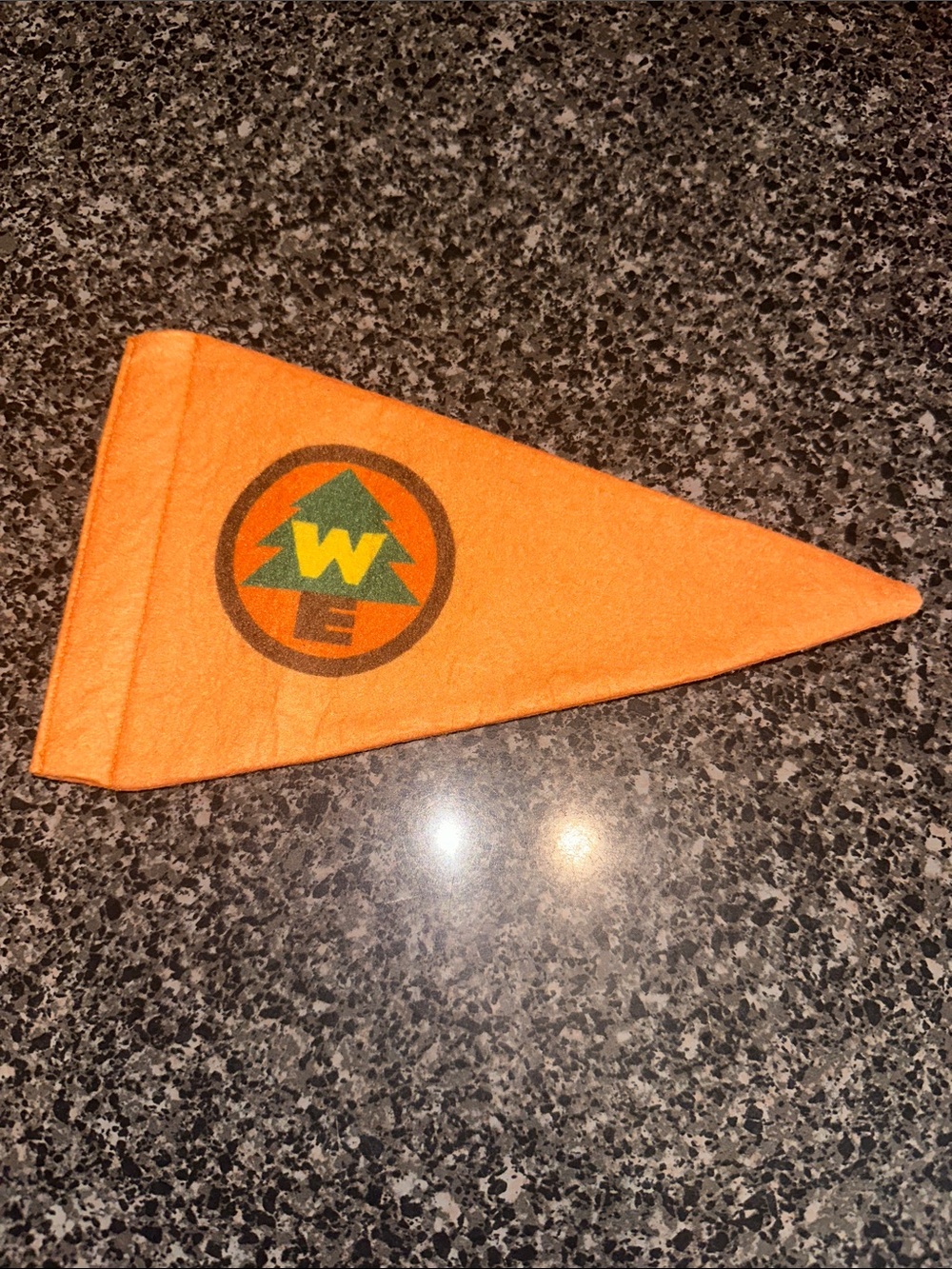 Disney Pixar Up Wilderness Explorer Felt Flag Russell Costume Accessory Pennent